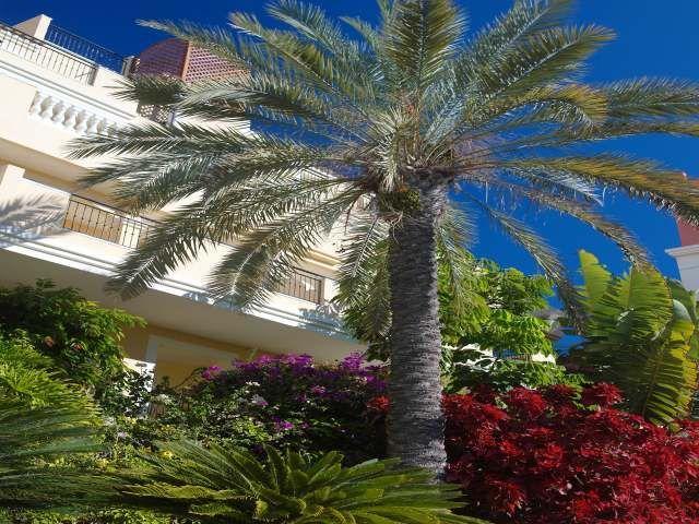 Apartamentos Granada Park Playa de las Americas  Exteriör bild